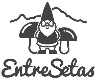 logo entresetas