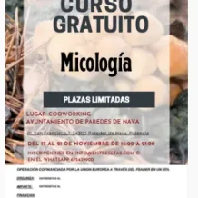 Curso Micologia en Paredes de Nava