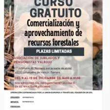 Curso de Comercialización y aprovechamiento de recursos forestales en Villanueva de Valrojo, Zamora